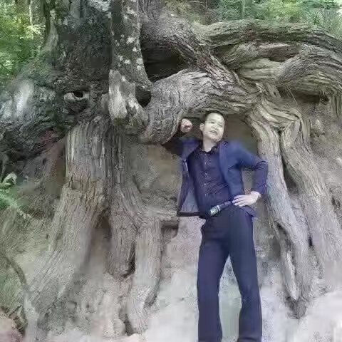 再见，我深爱的天水