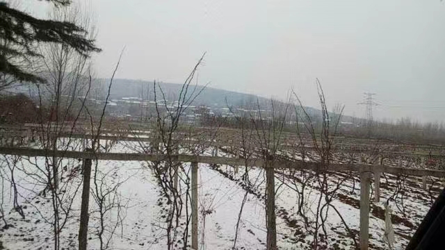 小寒钓鱼台