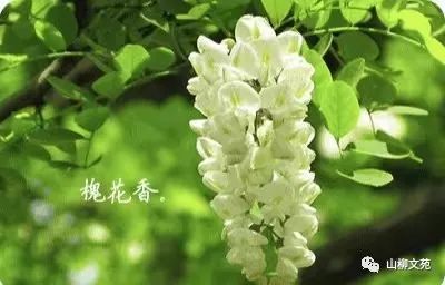 田丰华/谷雨