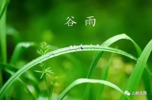 田丰华/谷雨吟