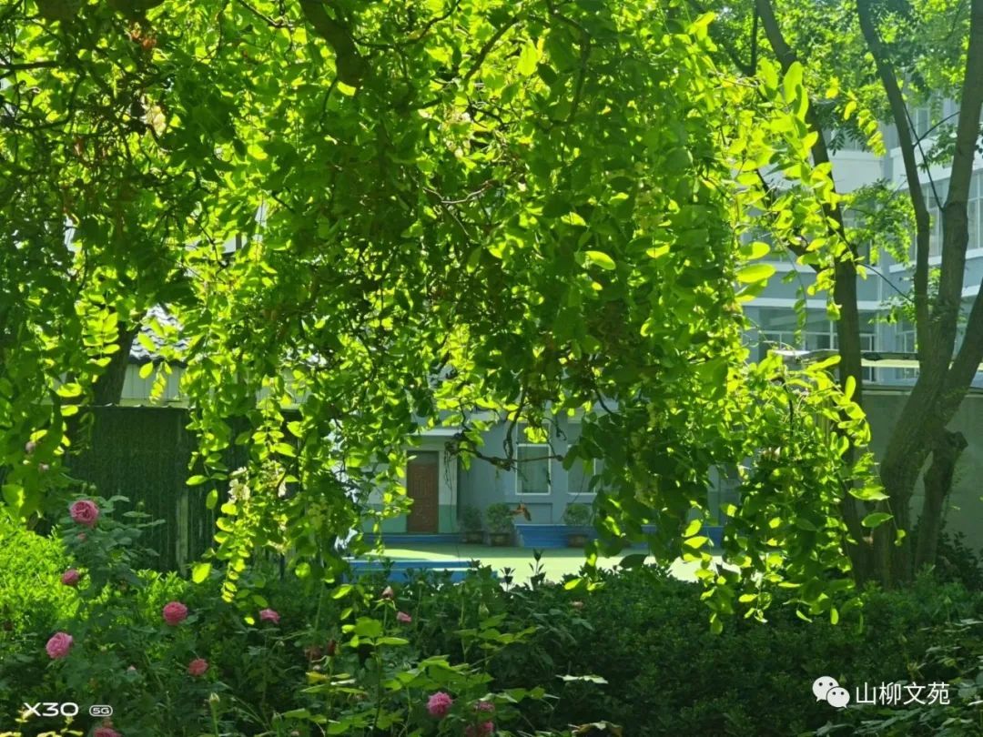 田丰华/问春