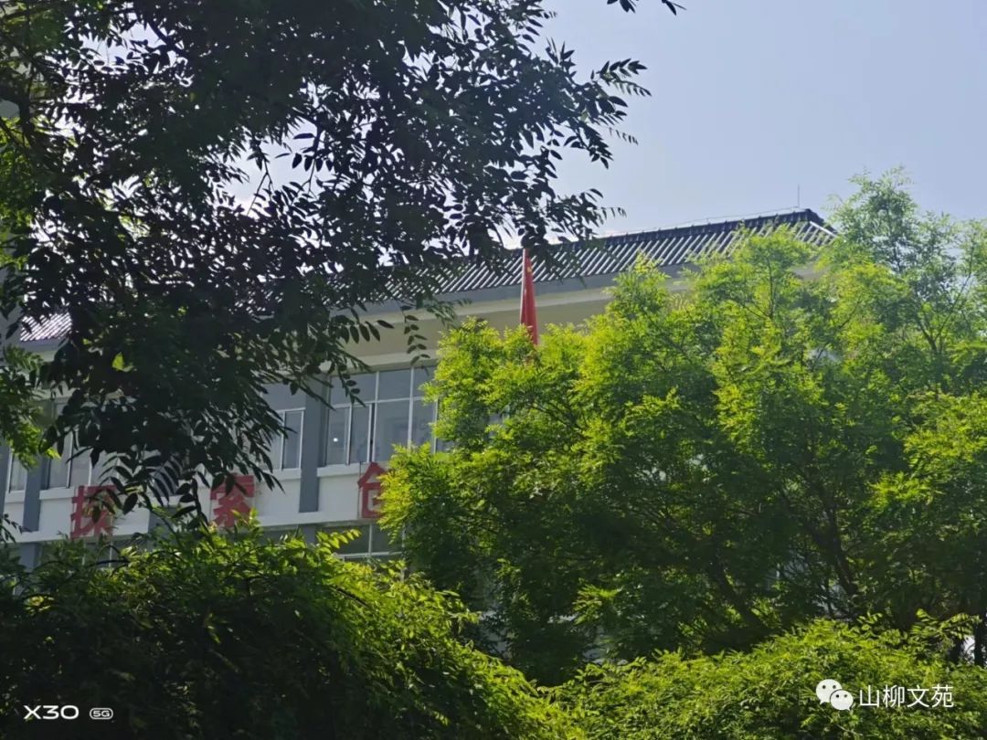 安伟/别了，我的母校