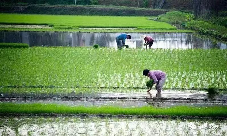 陈富进/致敬劳动者