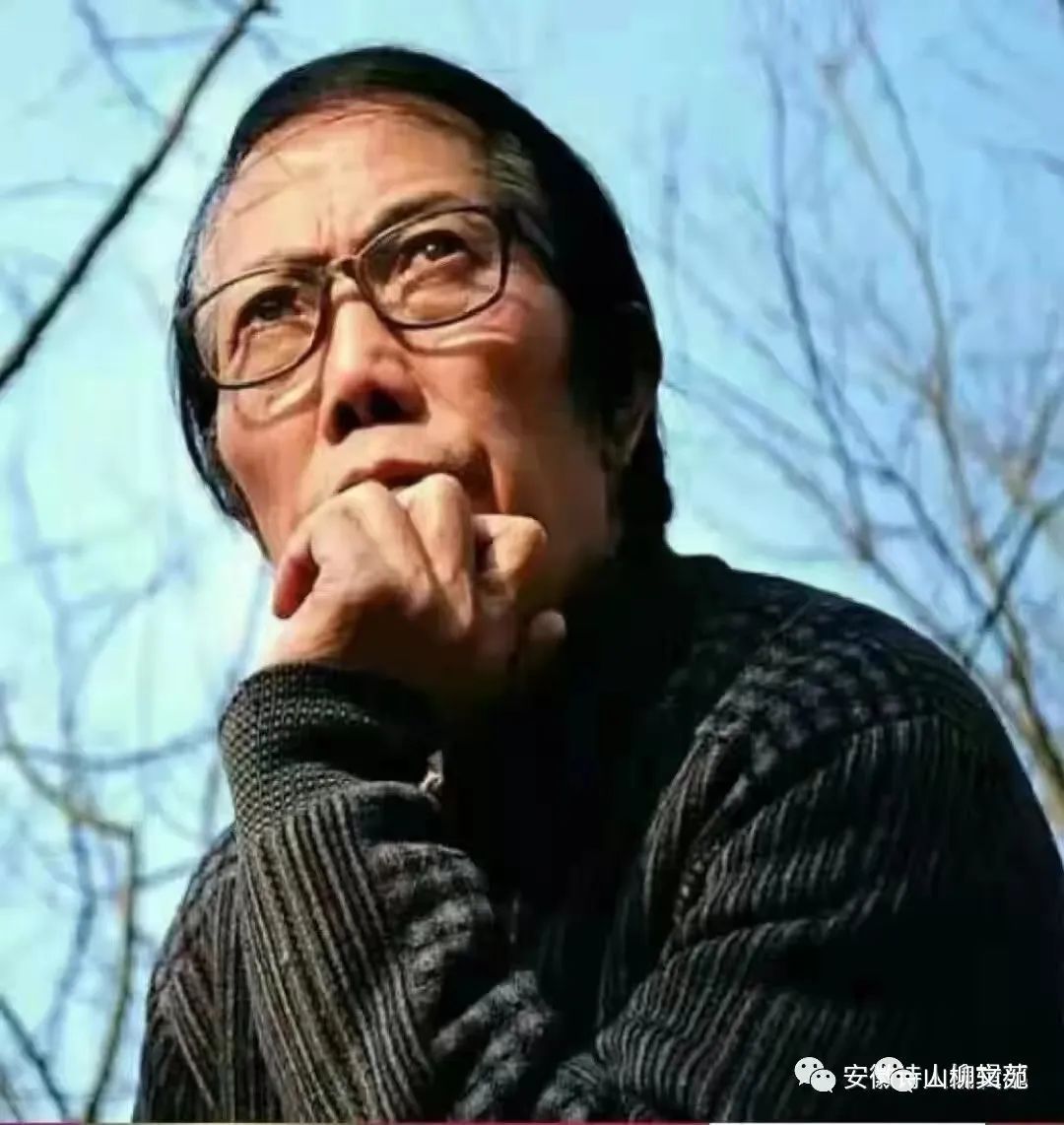 招小波/我敬董徽一杯酒