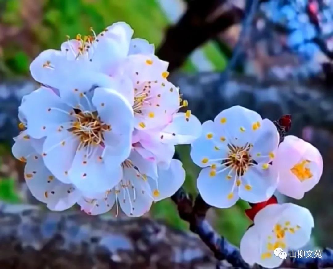 仇怡/《从天而降的幸运》梗概