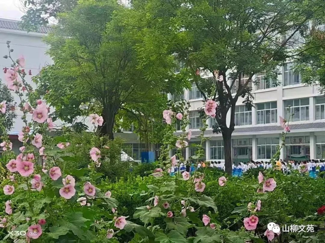 汪泓/金色童年