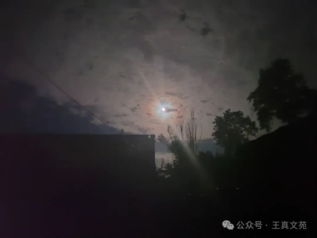 老家的秋夜