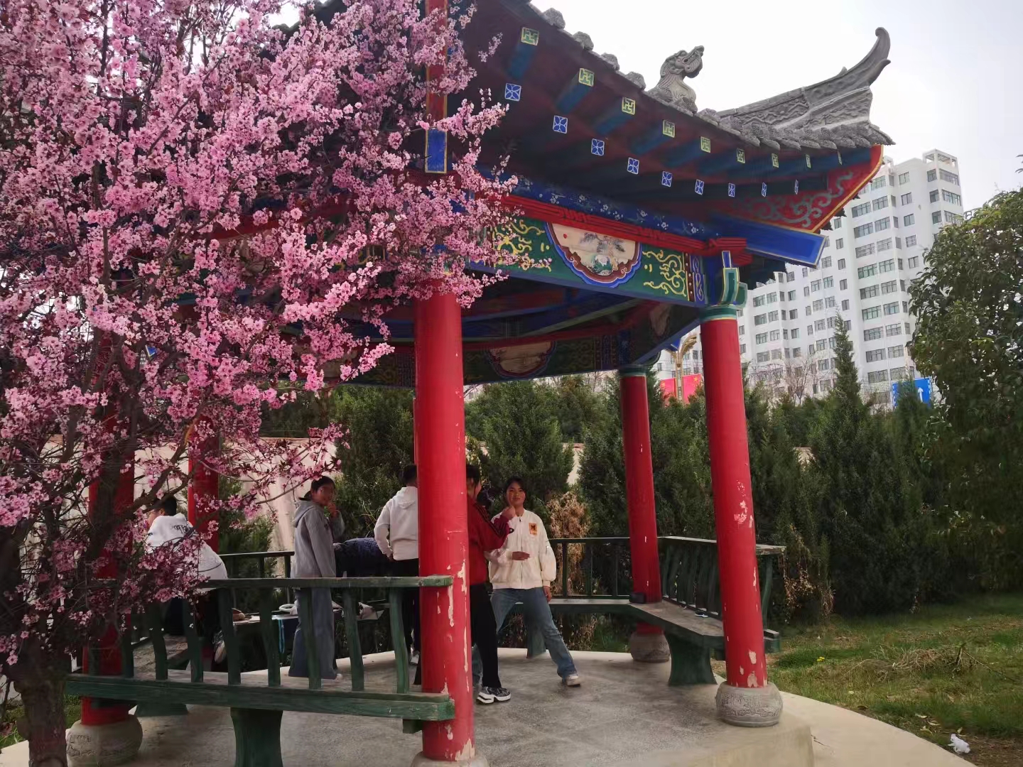 七绝.天伦乐