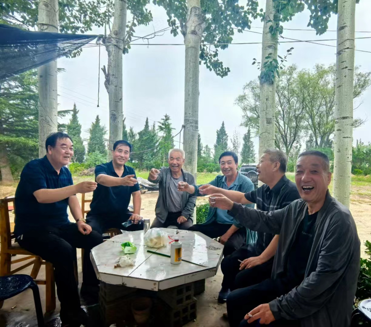 五律.游杨栋南苑山庄