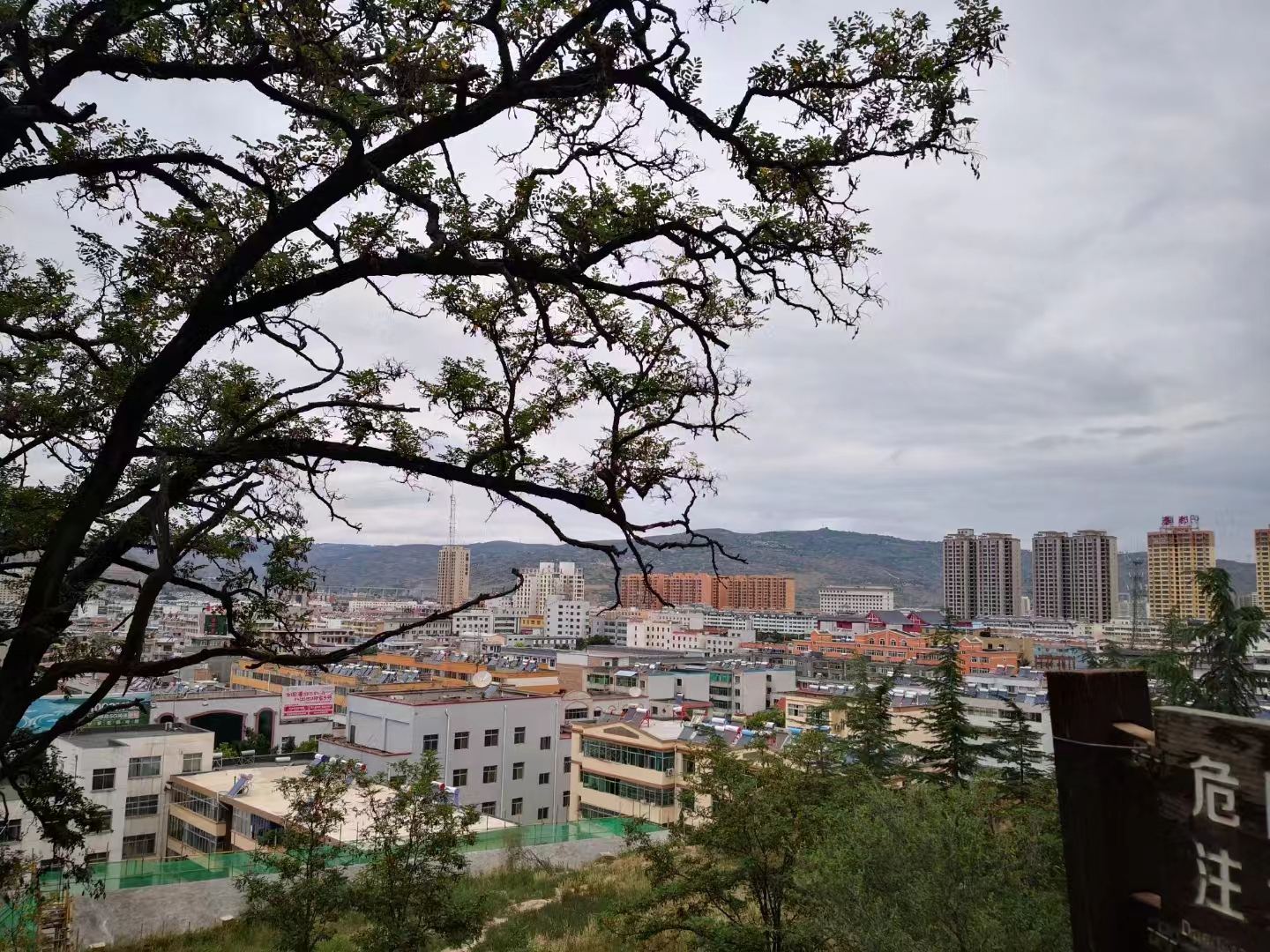 五律.静居