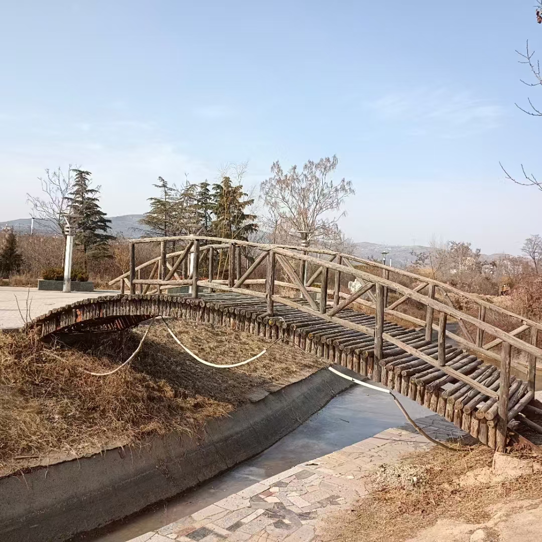 【秦安县葫芦河公园的冬景】图1