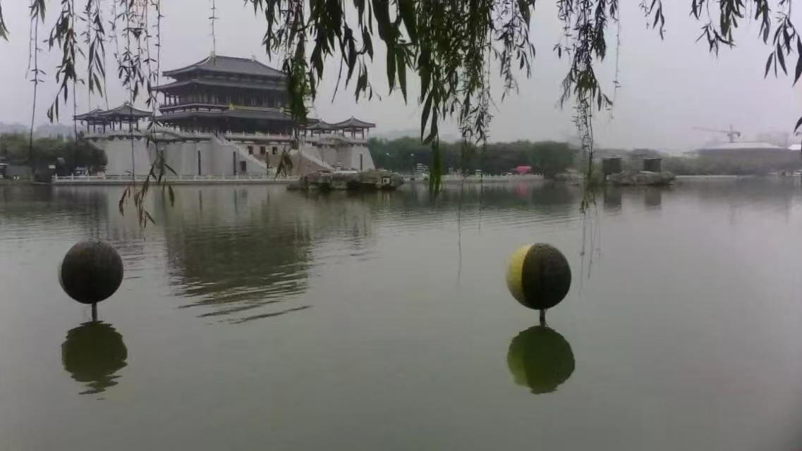【七绝/夜游芙蓉园观感】图3
